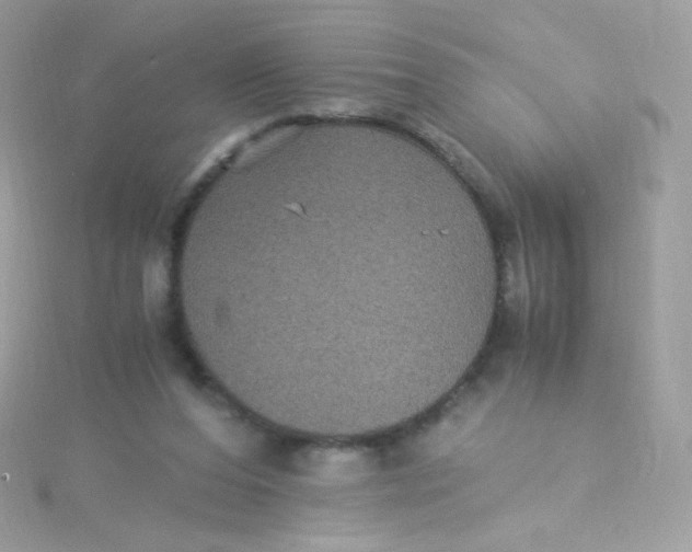 X0000115340208200911231440