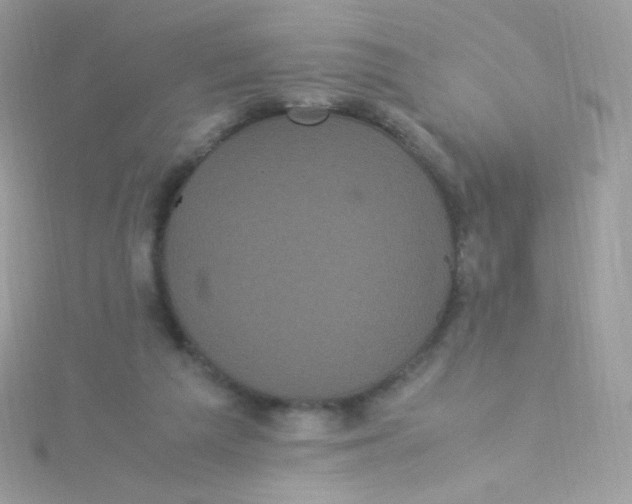 X0000115340209200911231440