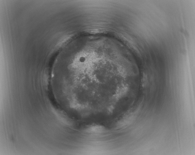 X0000115340210200911231440