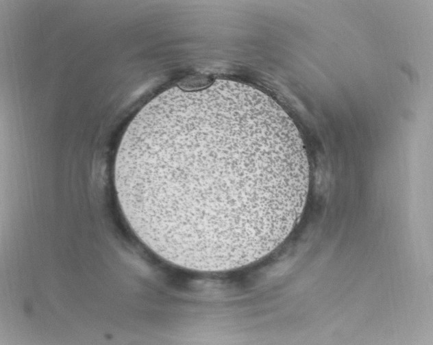 X0000115340211200911231440