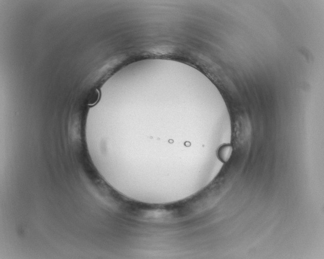 X0000115340212200911231440