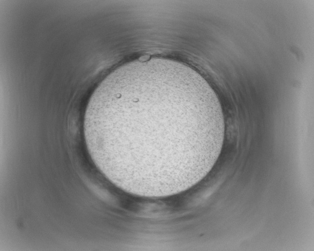 X0000115340215200911231440