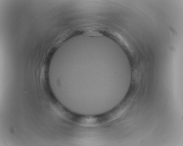 X0000115340217200911231440