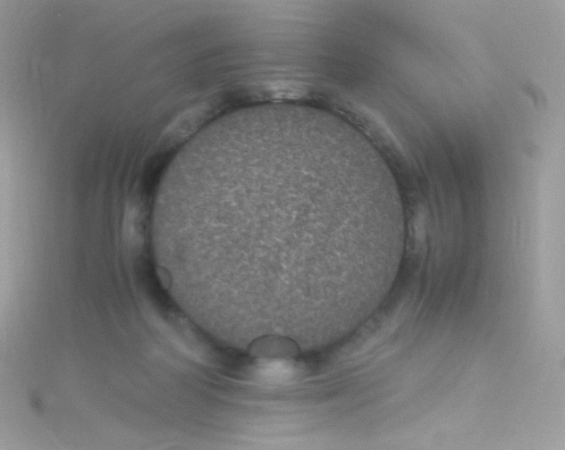 X0000115340218200911231440