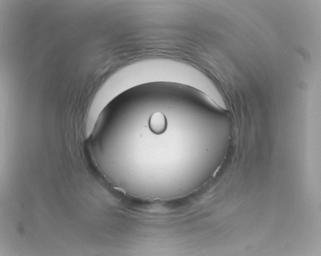 X0000115340219200911231440