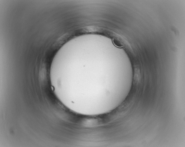 X0000115340220200911231440