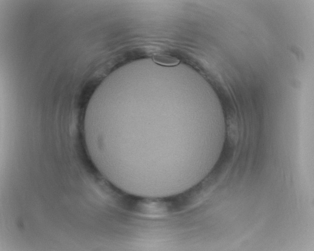 X0000115340221200911231440