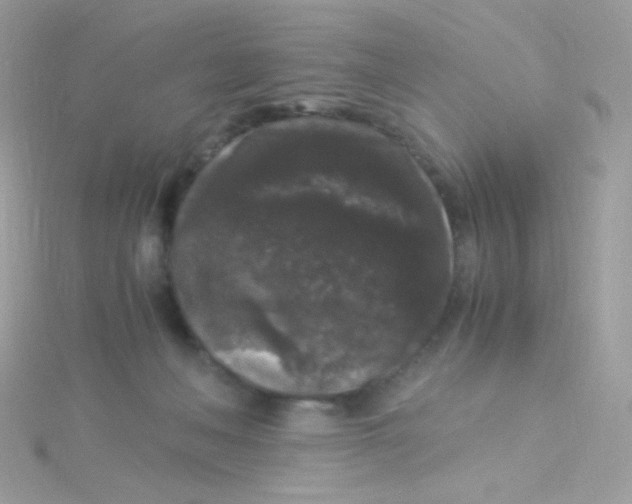 X0000115340222200911231440