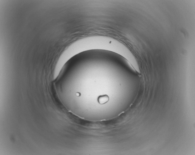 X0000115340223200911231440