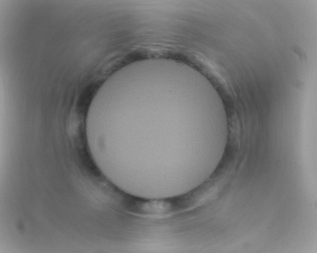 X0000115340225200911231439