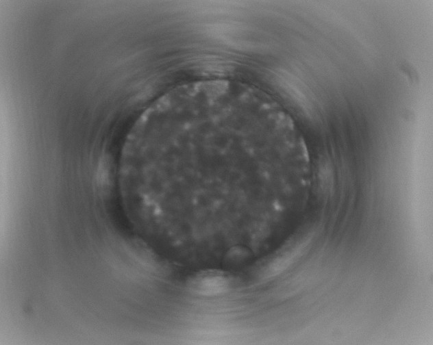 X0000115340228200911231439