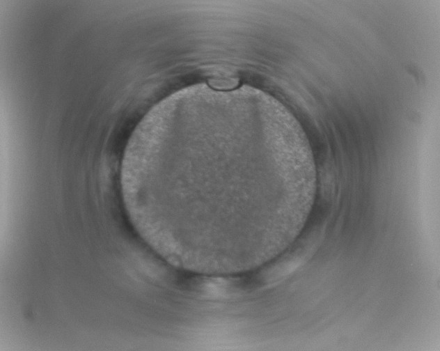 X0000115340229200911231439