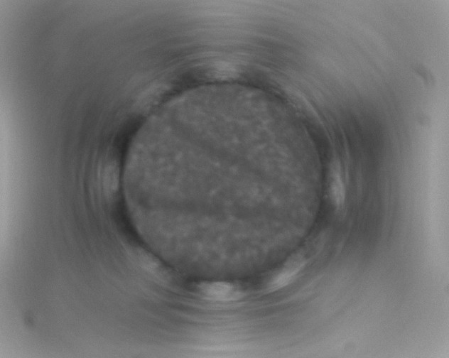 X0000115340230200911231439