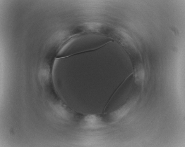 X0000115340231200911231439