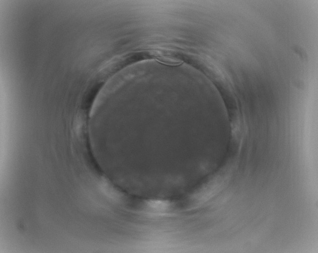 X0000115340233200911231439