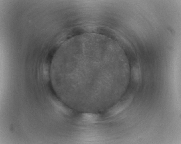 X0000115340234200911231439