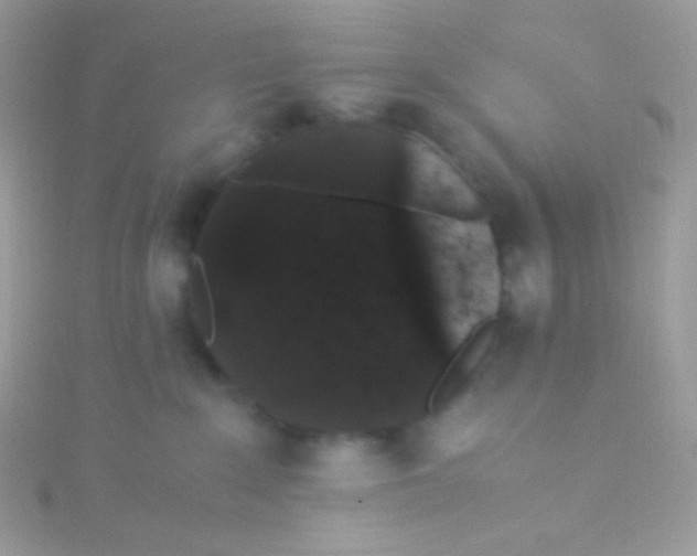 X0000115340235200911231439