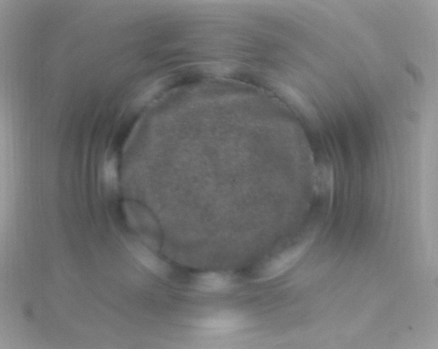 X0000115340238200911231439