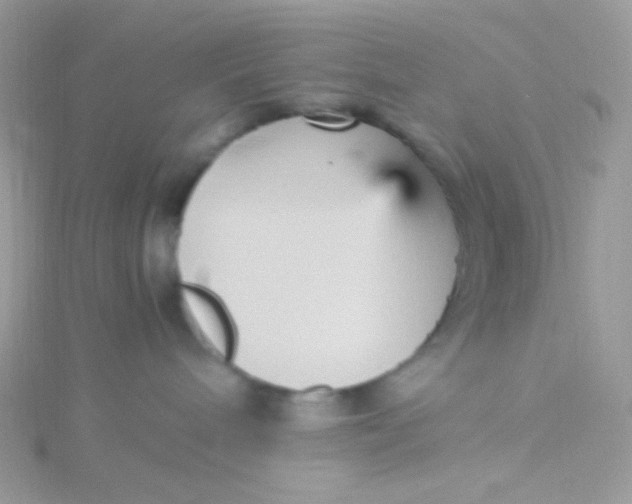 X0000115340240200911231439