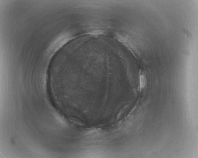 X0000115340243200911231439