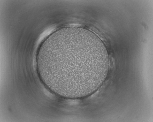 X0000115340245200911231439