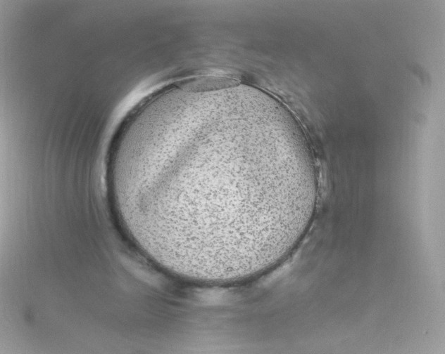 X0000115340246200911231439