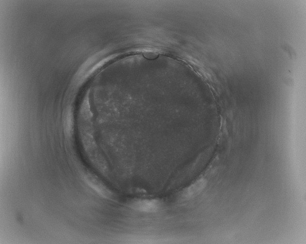 X0000115340247200911231439