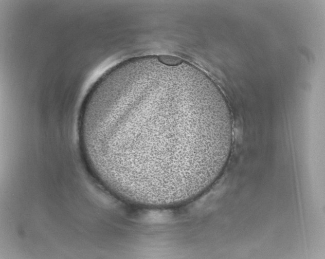 X0000115340248200911231439