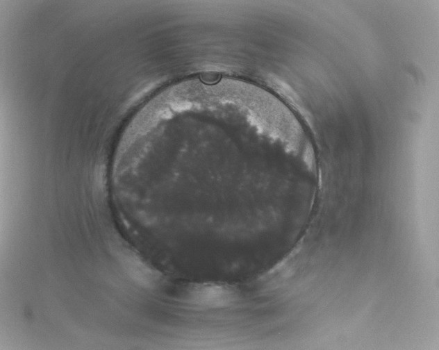 X0000115340249200911231439