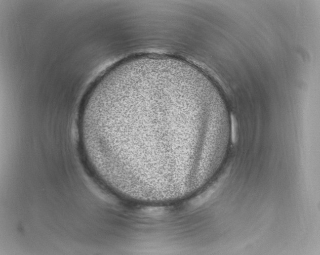 X0000115340252200911231439