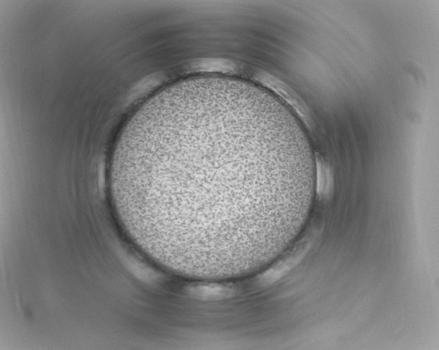 X0000115340253200911231439