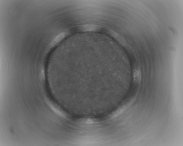 X0000115340254200911231439