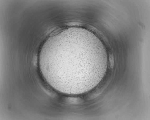 X0000115340255200911231439