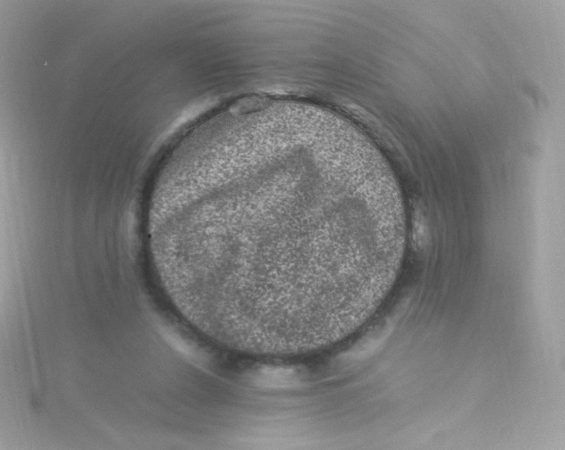 X0000115340256200911231439