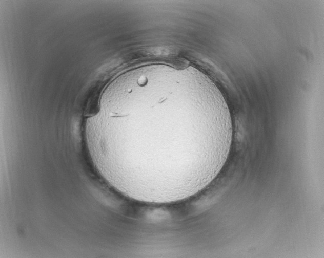 X0000115340258200911231439