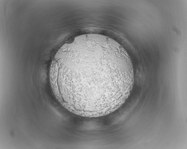 X0000115340259200911231439