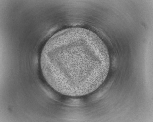 X0000115340260200911231439