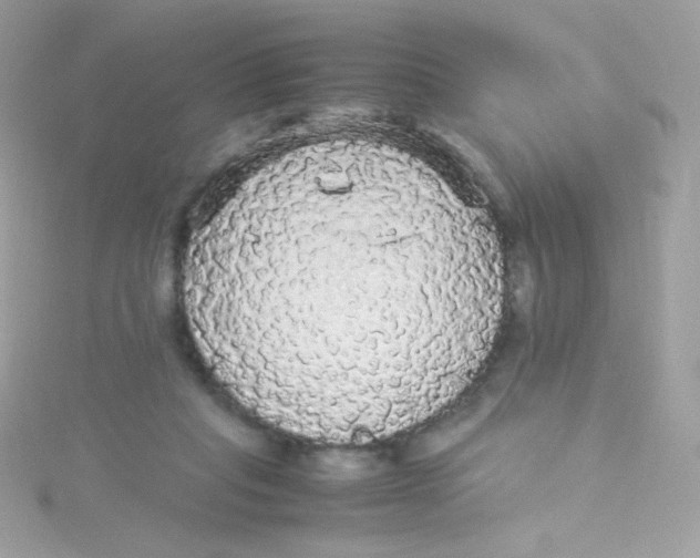 X0000115340261200911231439