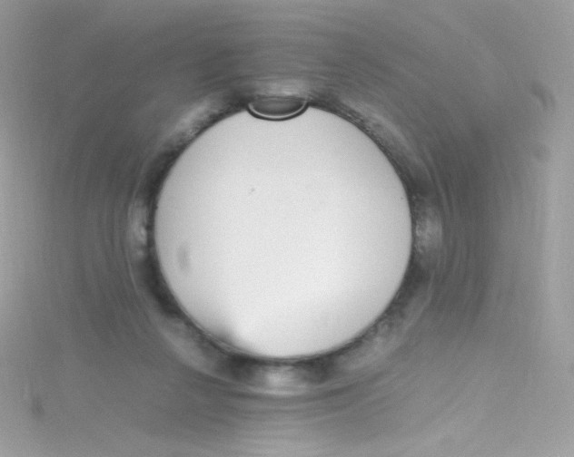 X0000115340264200911231439