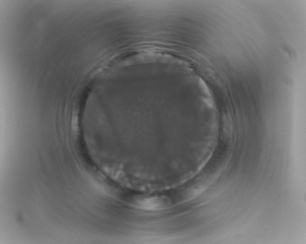 X0000115340267200911231439