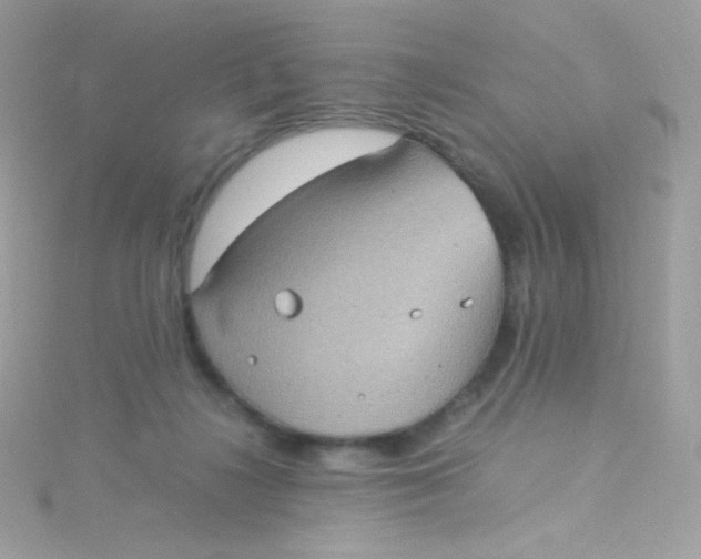 X0000115340268200911231439