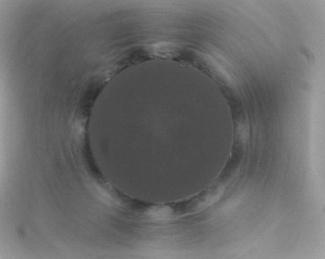 X0000115340271200911231439