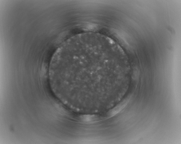 X0000115340273200911231439