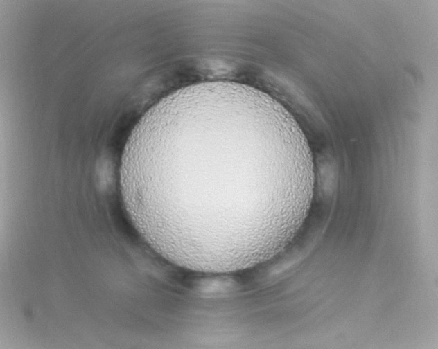 X0000115340274200911231439