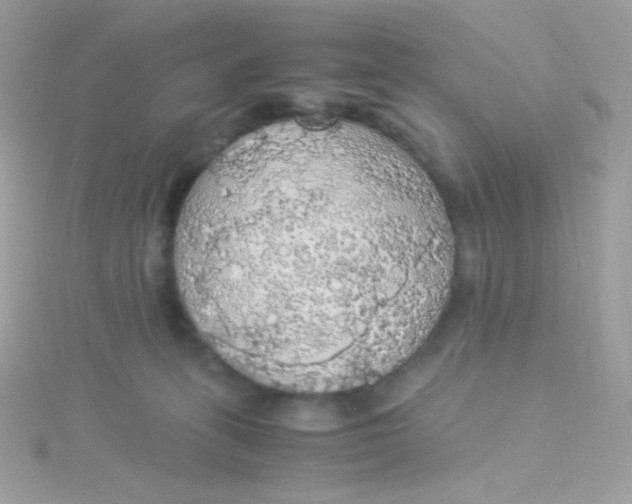 X0000115340275200911231439