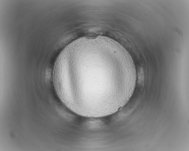 X0000115340278200911231439