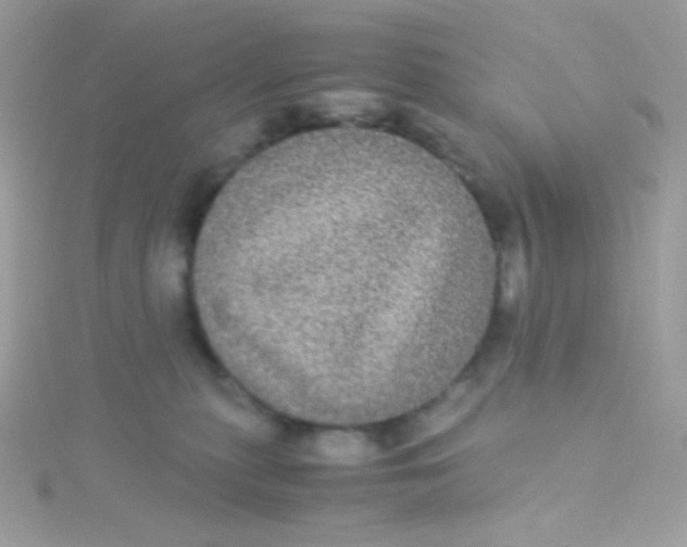 X0000115340279200911231439