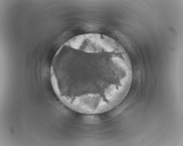 X0000115340281200911231439