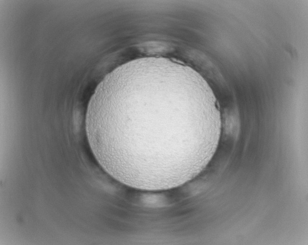 X0000115340283200911231439