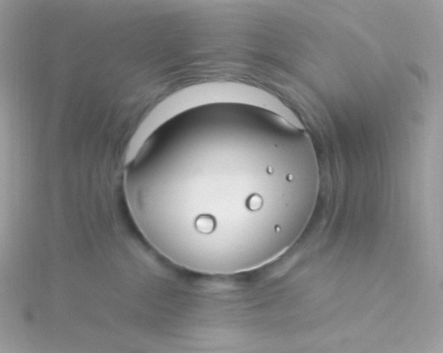 X0000115340284200911231439